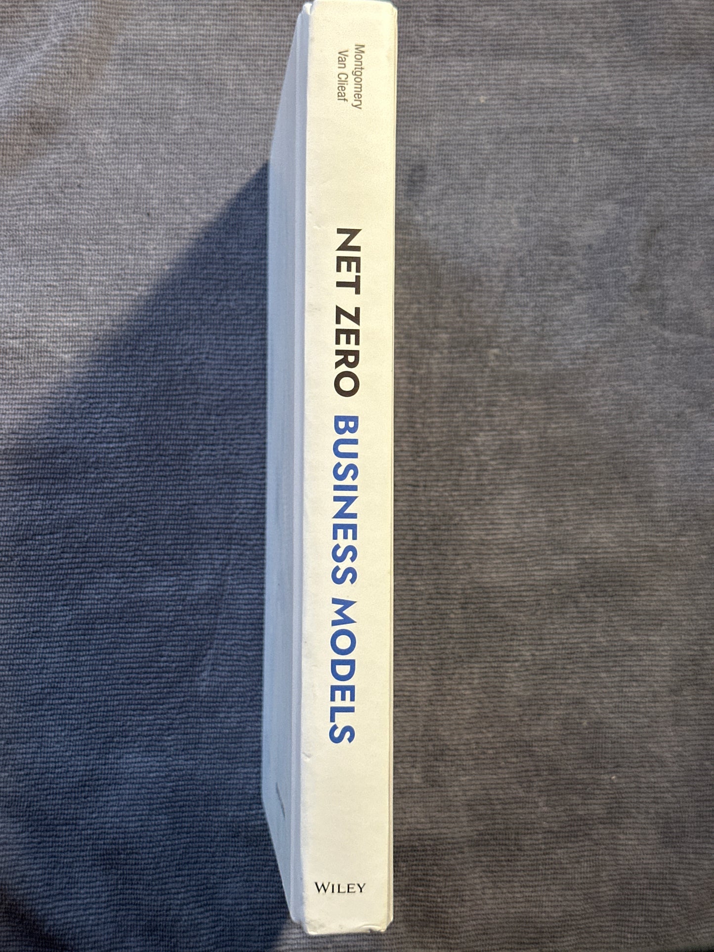 Net Zero Business Models